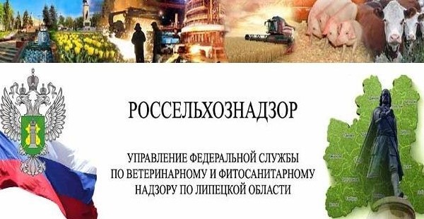 Сухофрукты, орехи и овощи из Узбекистана и Таджикистана не пустили в Хабаровск