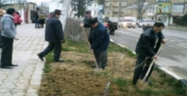 В новом году в Душанбе еженедельно будут проводиться субботники по благоустройству города