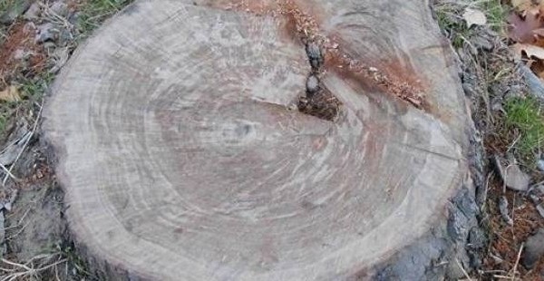 Советы юриста: Что делать, когда в вашем дворе хозяйничают чужие?