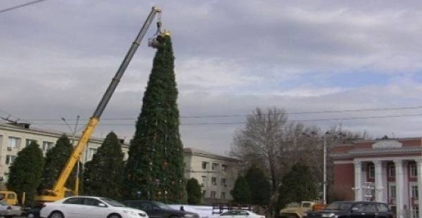 Высота главной новогодней елки в Душанбе составит 22 метра
