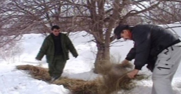 Охотники Ховалинга зачехлили ружья и вышли на помощь зверям