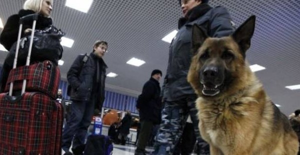 Рейс Красноярск-Худжанд задержан из-за звонка о бомбе