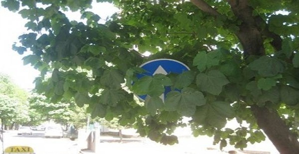 Дежурный по городу - Для милиции закон не писан?