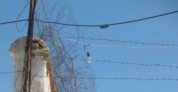 Беглого иранского заключенного застрелили выстрелом из Калашникова?