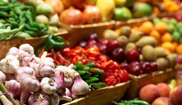 Объем производства сельхозпродукции в Хатлонской области превысил 1 млд долларов 
