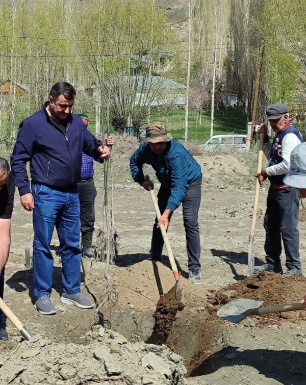В Шугнане заложили фруктовый сад 