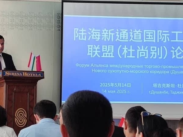 В Душанбе прошел таджикско-китайский бизнес-форум