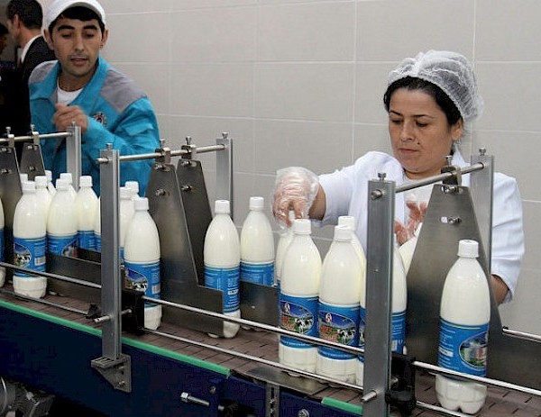 Новый завод в Рушанском районе будет производить 30 тонн молочной продукции ежемесячно 