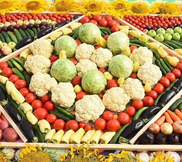 Власти Согда призвали к увеличению производства сельхозпродукции