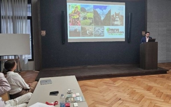 Таджикистан и Швейцария обменялись опытом в сфере туризма 