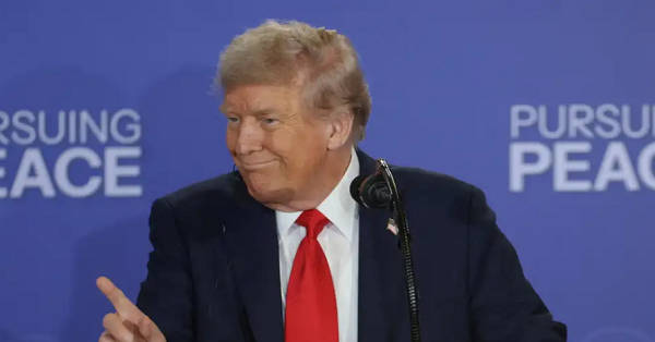 «Масло и уксус»: Трамп сравнил Путина и Зеленского 