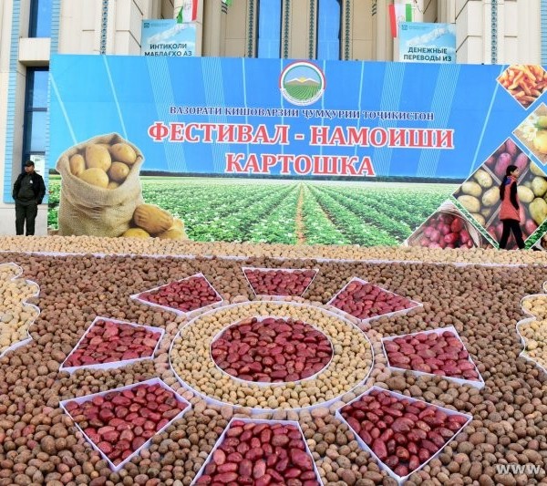 В Душанбе на рынке «Мехргон» пройдет фестиваль картофеля