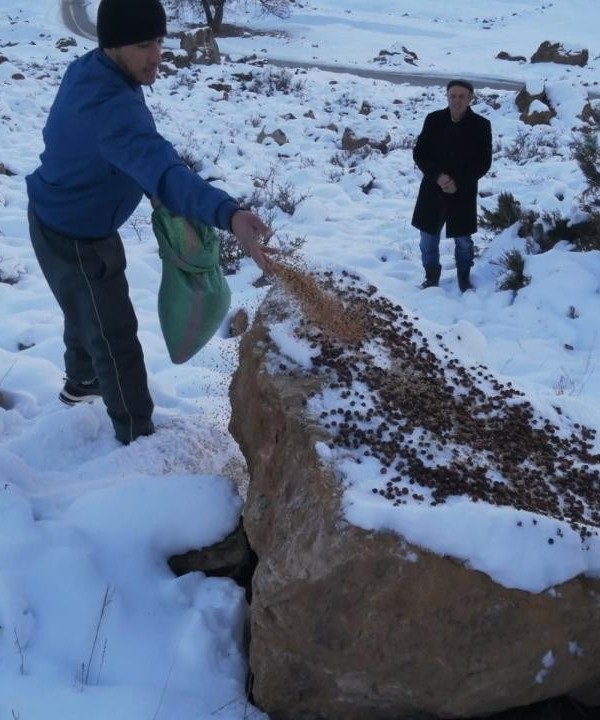 В Ванче провели мероприятия по защите диких животных от морозов: заготовили 850 кг кормов