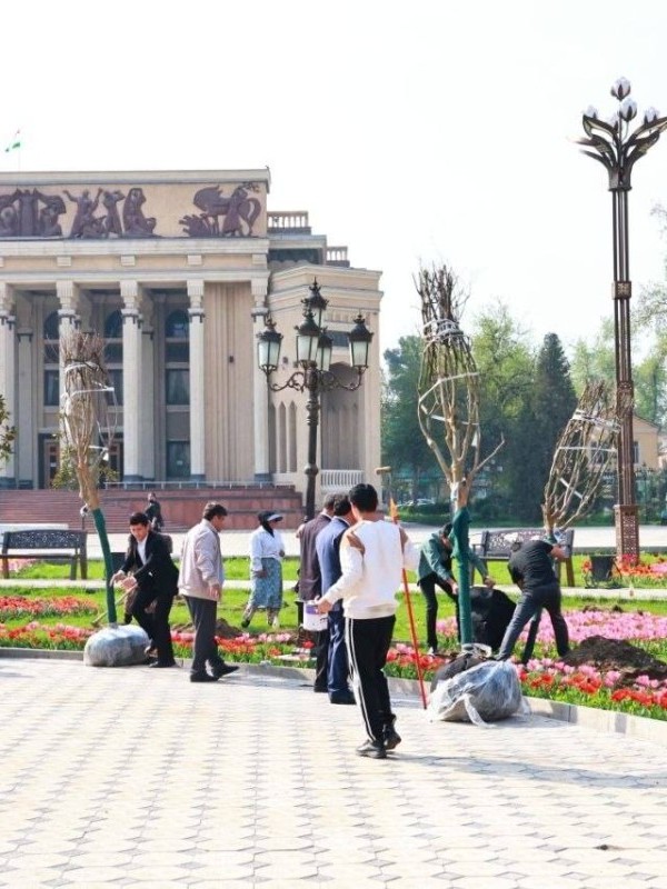 Власти Худжанда продолжают работы по озеленению и благоустройству города
