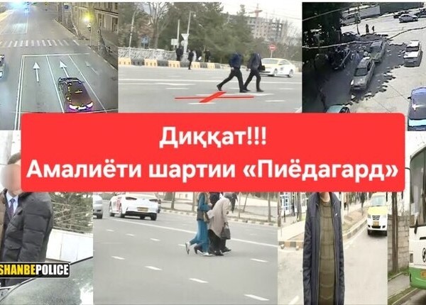 В Душанбе усилили профилактику ДТП с пешеходами