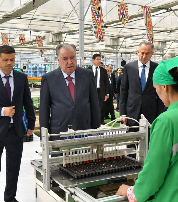 В Нуреке открыли тепличный комплекс по выращиванию цветов