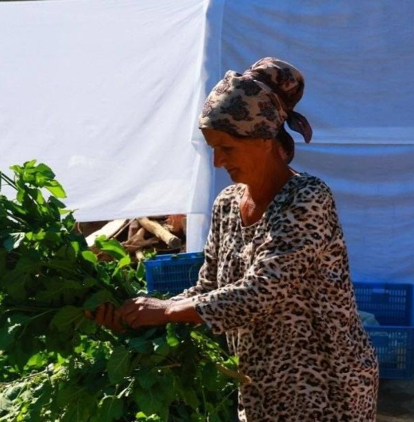 В Аште увеличат производство коконов шелкопряда и сельхозпродукции 