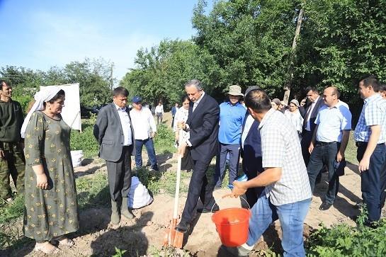 В Кушониёнском районе под картофель отвели более 500 га земли
