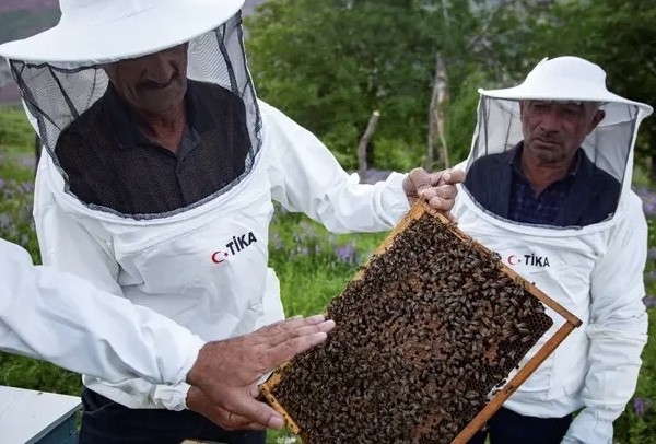 Успех дарвазских пчеловодов: производство меда выросло на 670 центнеров