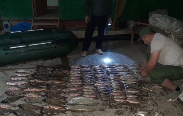 В Согде пресекли незаконную ловлю рыбы во время сезонного запрета 
