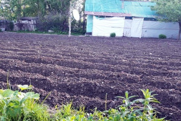 В Хороге заведено 7 уголовных дел за незаконный захват земли в 2025 году