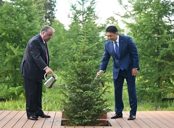 Сарони Тоҷикистону Муғулистон ниҳоли дӯстӣ шинониданд 