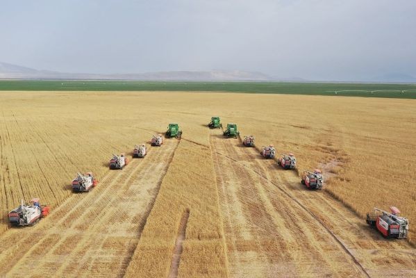 Дар Тоҷикистон беш аз 866 ҳазор тонна ғалла ҷамъоварӣ кардаанд