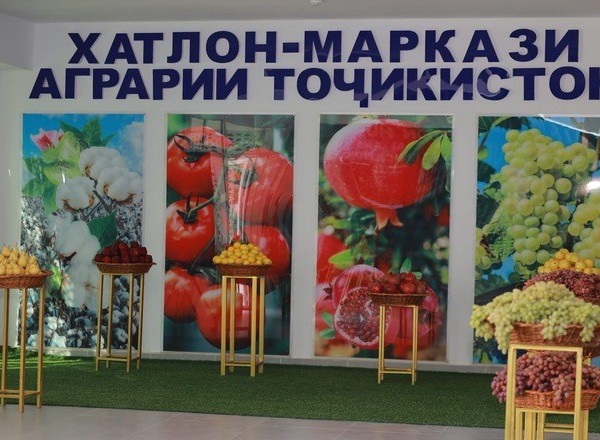 В Хатлонской области заключили инвестиционные соглашения на сумму свыше 1,2 млрд сомони 