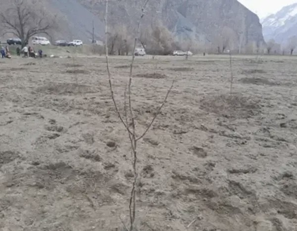 В Рушанском районе на месте скалистого пустыря создают парк с садом на 1200 деревьев