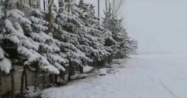 Не менее 20 человек погибли в Афганистане из-за резкого похолодания и снегопадов
