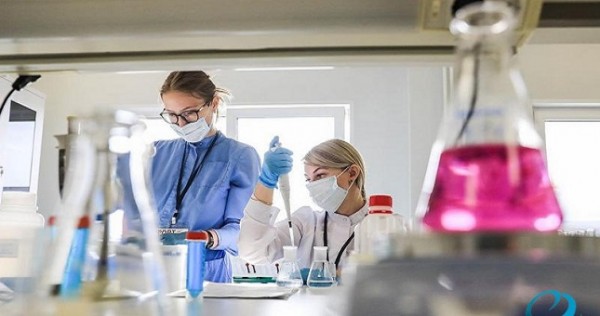 В России создали лекарство от рака — оно в 10 раз уменьшает рост опухоли