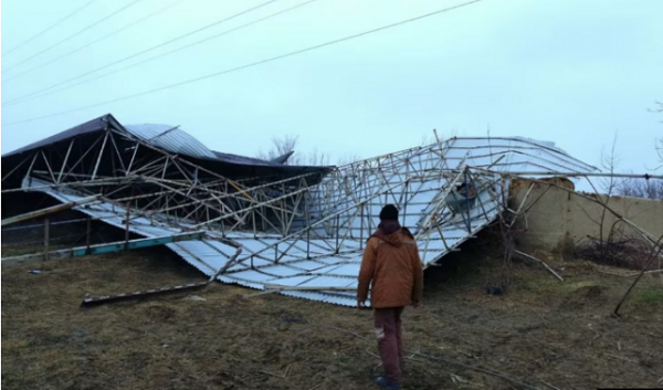 В Узбекистане после ветра более 130 тысяч абонентов остались без электричества