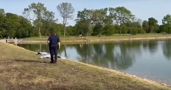 Две девочки-сестры из Таджикистана утонули в пруду в Петербурге