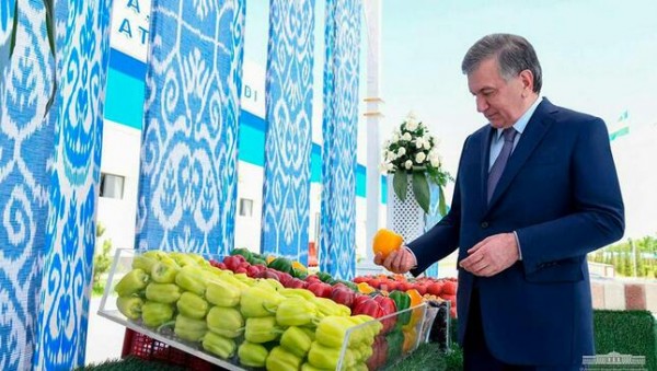 Мирзиёев поручил Минсельхозу раздать предпринимателям $130 млн без участия банков