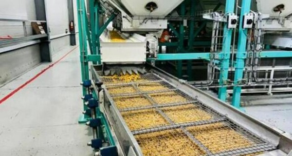 Свыше $1 млрд направят на создание продовольственного пояса вокруг Нур-Султана