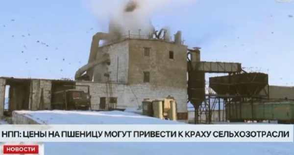 Сельхозотрасли Казахстана предрекли банкротство из-за роста цен на пшеницу