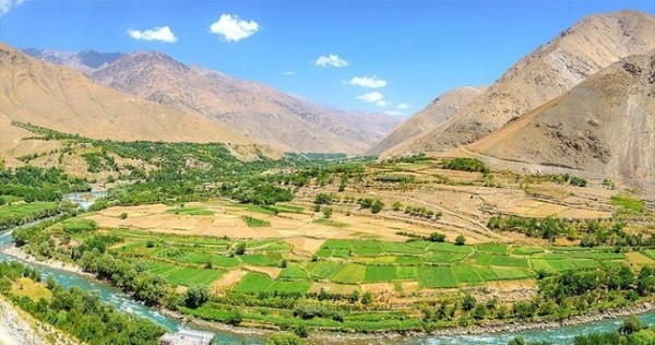 BBC сообщила об убийстве талибами не менее 20 гражданских в провинции Панджшер