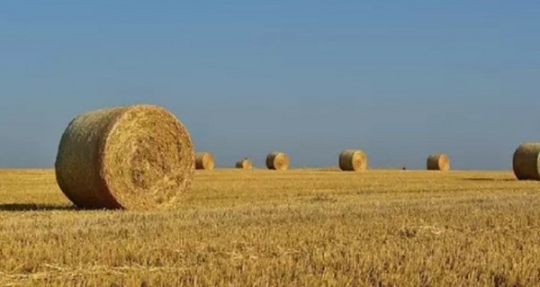 Парламент Казахстана запретил продажу и аренду земли иностранцам