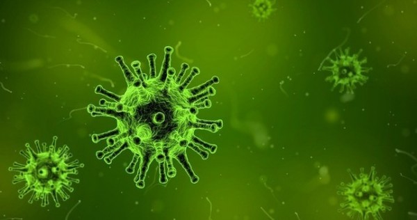 В Турции рассказали подробности вакцинации от COVID-19