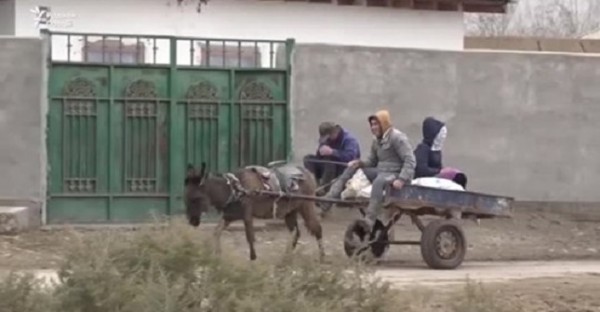 «Коронавирус разлучил нас»: как живется туркменам в Таджикистане в период пандемии