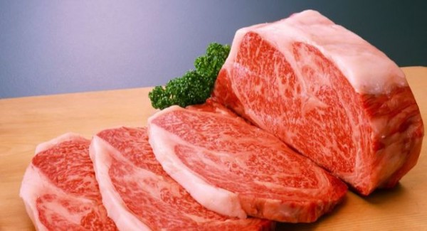 Казахстан готов поставлять в Японию коневодческую продукцию