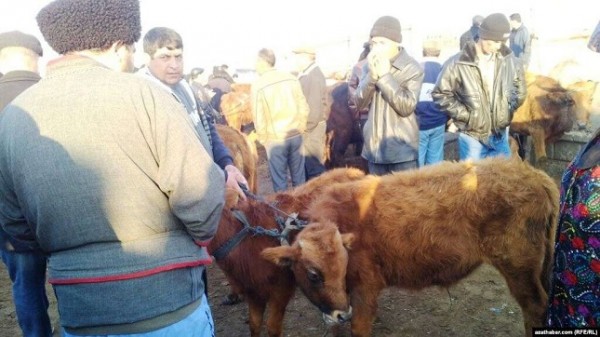 Население Туркменистана в условиях кризиса распродает свое имущество