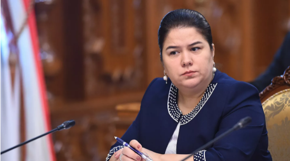 Озода Рахмон призвала контролировать цены на билеты в Россию