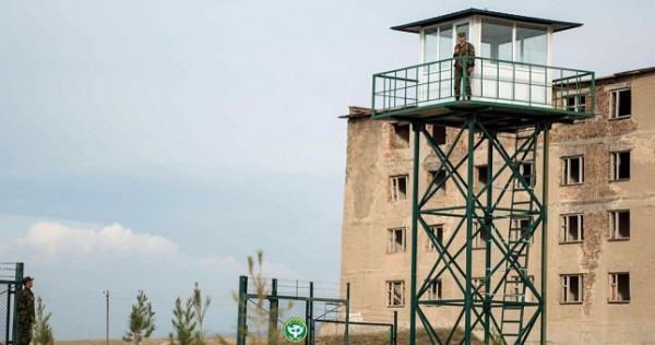 Таджикистан и Кыргызстан усиливают контроль на границе из-за коронавируса