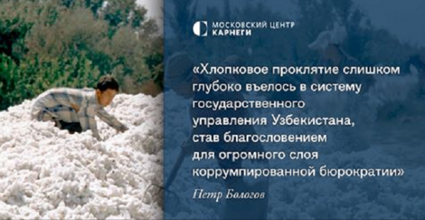 Почему Узбекистан не может избавиться от хлопкового проклятия