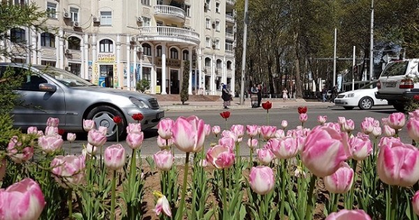 Туризм в Таджикистане будет развивать новый отдельный комитет