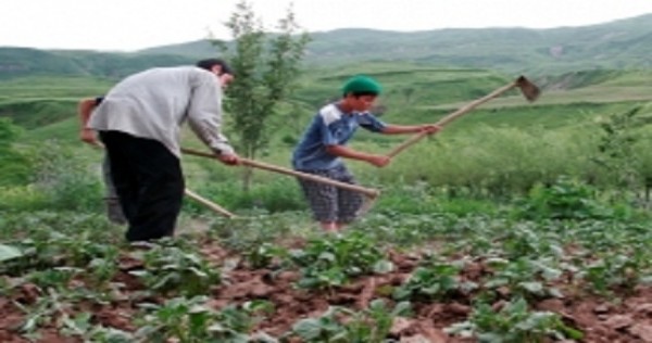 Власти перезапустят дехканский механизм
