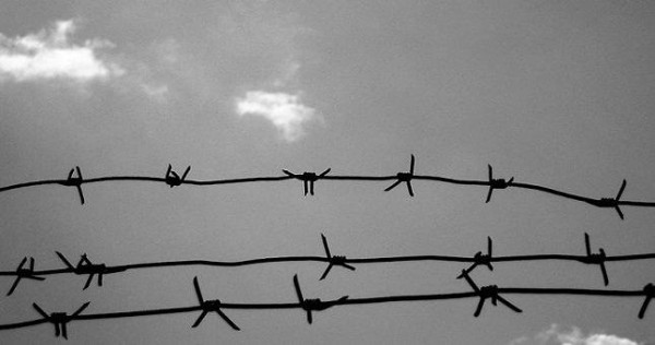 Пытки в таджикских тюрьмах: 16 организаций проведут расследование ситуации