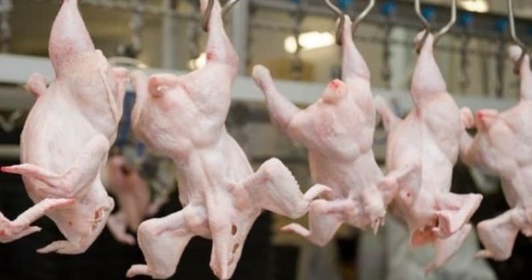 Производство мяса и яиц в Таджикистане растет, как и цены на эту продукцию