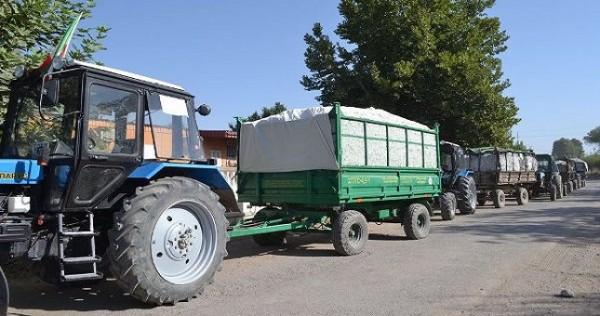 Около 330 тыс. тонн хлопка собрано в Таджикистане
